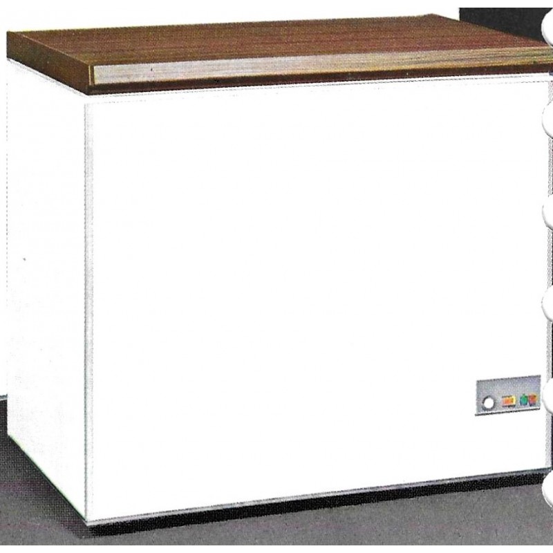 congélateur TS 400 Thomson