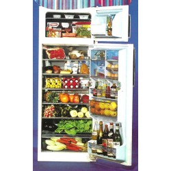 réfrigérateur FR 315 LC Frigeavia