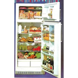 réfrigérateur FR 420 LC Frigeavia