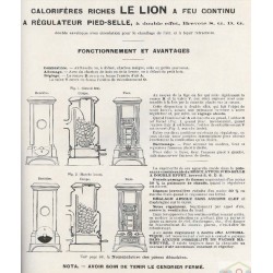 descriptif le lion